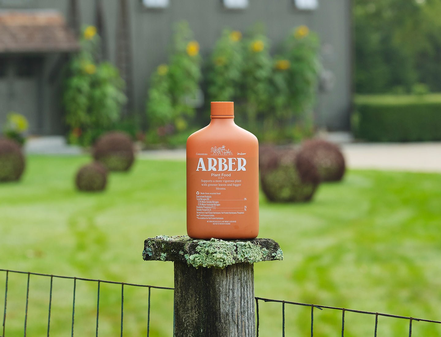 Plant Food - Arber